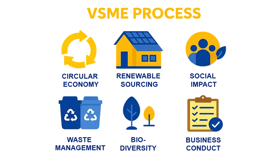 Sustainability-VSME-overview-IBS