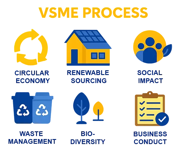 06.Sus VSME items overview IBS webp
